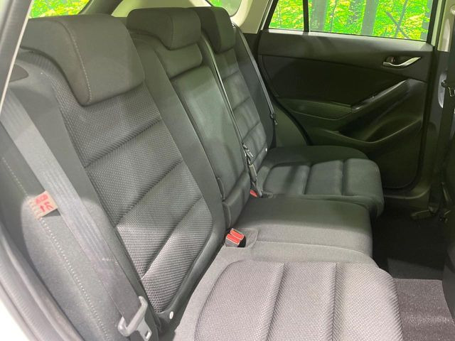 �㕔���Ȃ��C�ɂȂ�悤�ȃL�Y�E�����ւ��蓙�A�傫�ȃ_���[�W�͂Ȃ��A�ǍD�ȏ�Ԃł��B