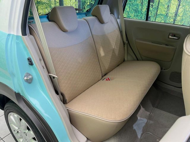 �㕔���Ȃ��C�ɂȂ�悤�ȃL�Y�E�����ւ��蓙�A�傫�ȃ_���[�W�͂Ȃ��A�ǍD�ȏ�Ԃł��B