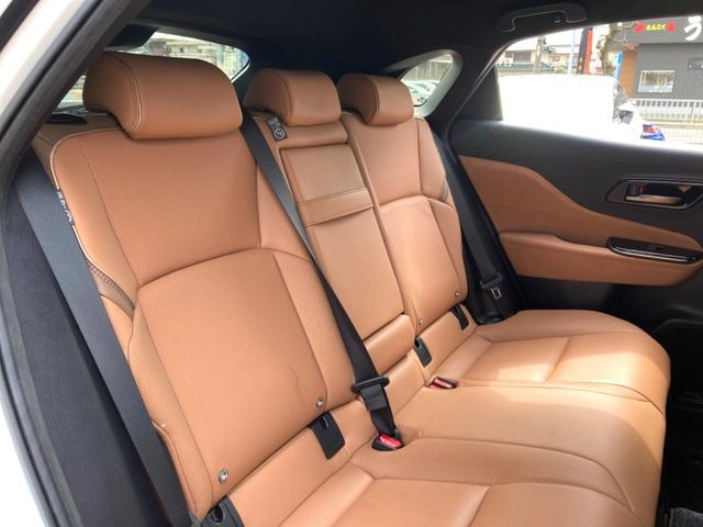 �㕔���Ȃ��C�ɂȂ�悤�ȃL�Y�E�����ւ��蓙�A�傫�ȃ_���[�W�͂Ȃ��A�ǍD�ȏ�Ԃł��B