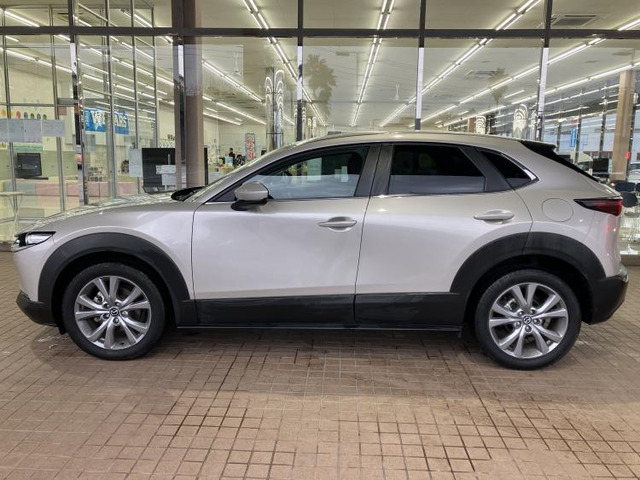 CX-302.0 20S