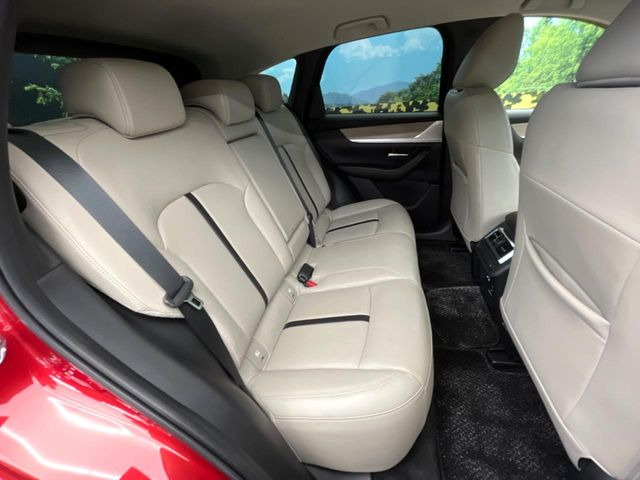 �㕔���Ȃ��C�ɂȂ�悤�ȃL�Y�E�����ւ��蓙�A�傫�ȃ_���[�W�͂Ȃ��A�ǍD�ȏ�Ԃł��B