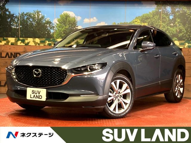 CX-30（マツダ）2.0 20S プロアクティブ ツーリングセレクション 中古車画像