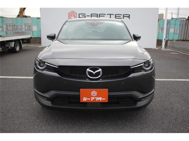 ���Ǝҗl�ւ̔̔��͂��f�肳���Ă��������܂��B �Ԍ������ԗ��̏ꍇ�́A�Ԍ����擾�������x�������z�ŕ\�����Ă���܂��B