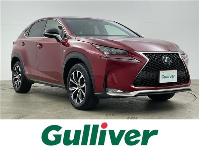 NX300h Fスポーツ