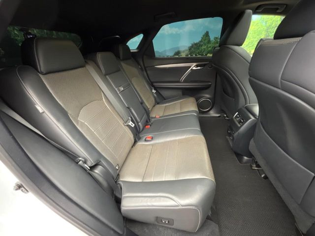 �㕔���Ȃ��C�ɂȂ�悤�ȃL�Y�E�����ւ��蓙�A�傫�ȃ_���[�W�͂Ȃ��A�ǍD�ȏ�Ԃł��B