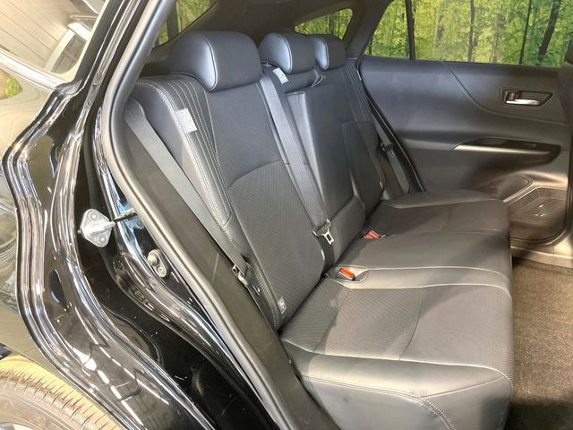 �㕔���Ȃ��C�ɂȂ�悤�ȃL�Y�E�����ւ��蓙�A�傫�ȃ_���[�W�͂Ȃ��A�ǍD�ȏ�Ԃł��B