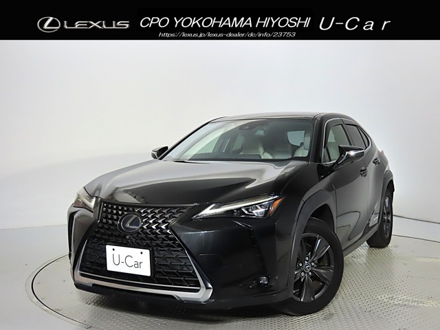 UX250h バージョンC