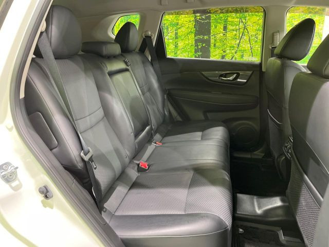 �㕔���Ȃ��C�ɂȂ�悤�ȃL�Y�E�����ւ��蓙�A�傫�ȃ_���[�W�͂Ȃ��A�ǍD�ȏ�Ԃł��B