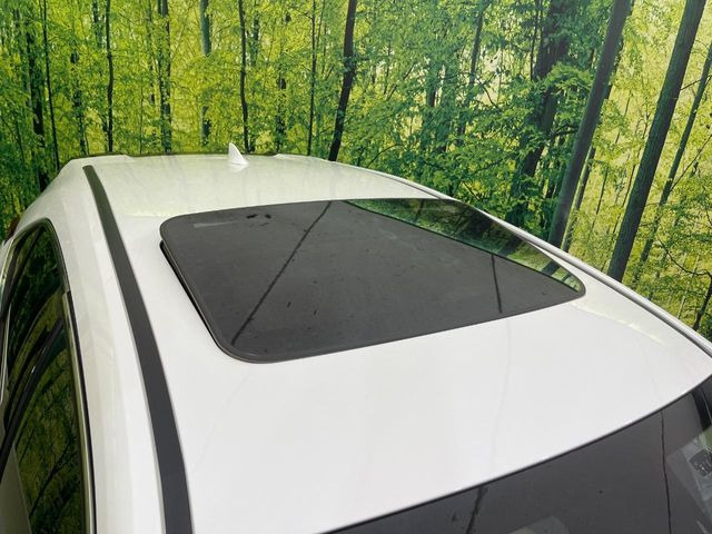 �y�T�����[�t�z�J���������Ղ�̊󏭑����A�T�����[�t����������Ă��܂�!�ԓ��ɖ�����������ꂽ��i�F���y���ވȊO�ɂ��A�ԓ��̋�C���ȒP�Ɋ��C�ł��ĉ��K�ł�!