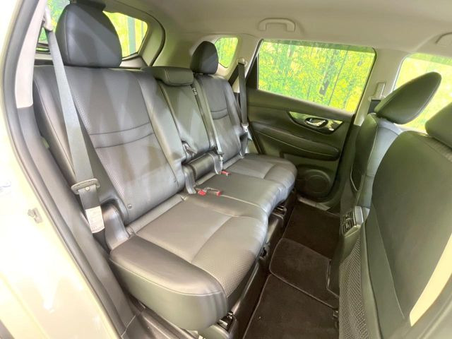 �㕔���Ȃ��C�ɂȂ�悤�ȃL�Y�E�����ւ��蓙�A�傫�ȃ_���[�W�͂Ȃ��A�ǍD�ȏ�Ԃł��B