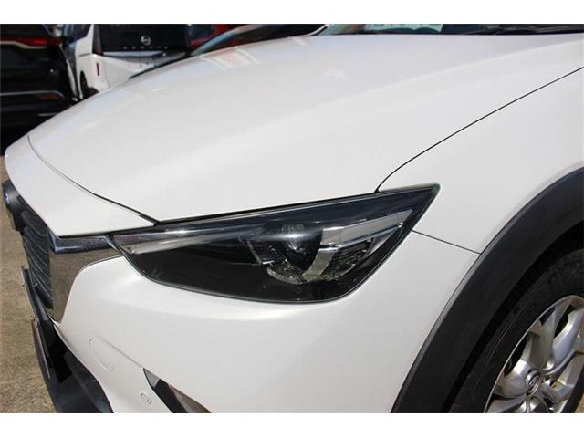 �̔��͂����X���������邨�q�l����ł��B���Ǝҗl�ւ̔̔��͂��f�肳���Ă��������܂��B�Ԍ������ԗ��̏ꍇ�́A�Ԍ����擾�������x�������z�ŕ\�����Ă���܂��B