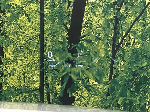 �y�J���[�w�b�h�A�b�v�f�B�X�v���C�z���݂̑��x�⑖�s�����f�W�^���\���ŉ^�]�ȑO���̃K���X�ɓ��e!�J���[�t���Ŏ��F���������A�^�]���ڐ������炳���K�v�ȏ����m�F�ł���̂łƂ��Ă��֗��ň��S!