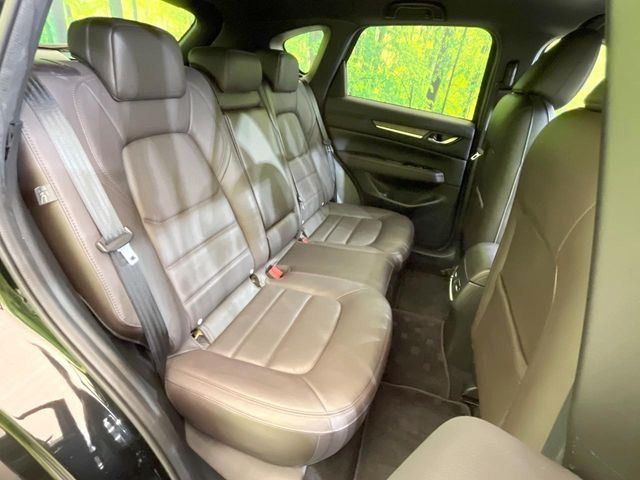 �㕔���Ȃ��C�ɂȂ�悤�ȃL�Y�E�����ւ��蓙�A�傫�ȃ_���[�W�͂Ȃ��A�ǍD�ȏ�Ԃł��B