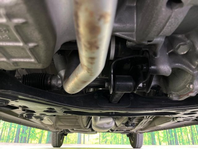 ����肪���ꂢ�Ȃ����ɁA�h�K���H�̎{�H���I�X�X���B�~��n��͂������A���ݕ��ɂ��Z���̕���A��Ń}�����E�E�B���^�[�X�|�[�c���������ɂ��D�]���������Ă���܂��B