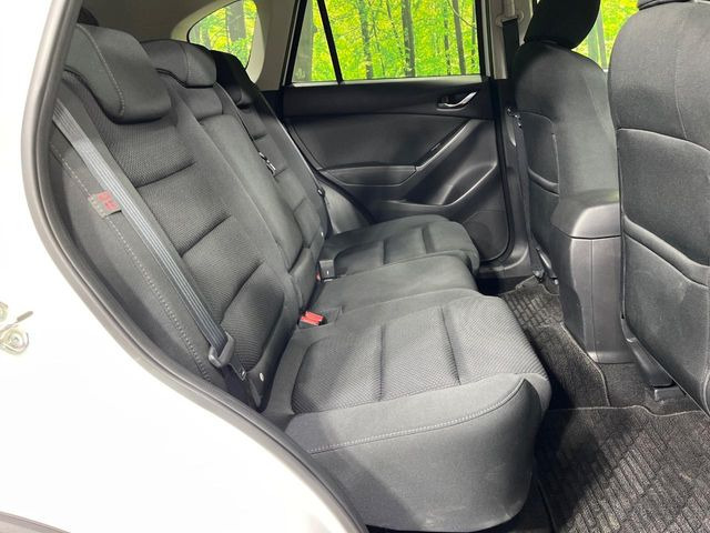 �㕔���Ȃ��C�ɂȂ�悤�ȃL�Y�E�����ւ��蓙�A�傫�ȃ_���[�W�͂Ȃ��A�ǍD�ȏ�Ԃł��B