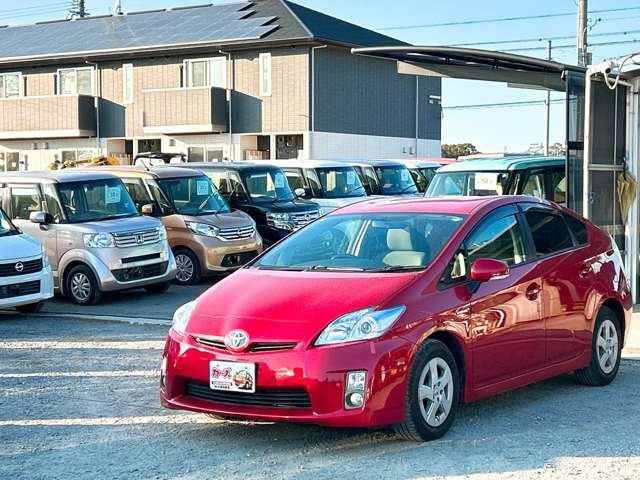 �y39.8���X�J�[�Y�̎��q���������������A���ɂ��肪�Ƃ��������܂��B���������S�s���c1186-7TEL:0942-73-6060�܂ł��⍇����������