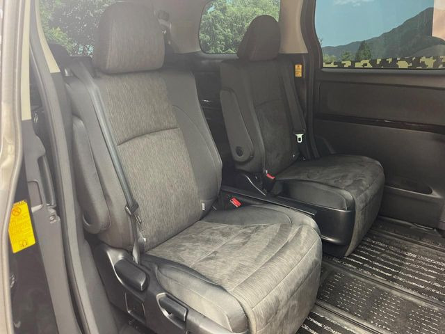 �㕔���Ȃ��C�ɂȂ�悤�ȃL�Y�E�����ւ��蓙�A�傫�ȃ_���[�W�͂Ȃ��A�ǍD�ȏ�Ԃł��B