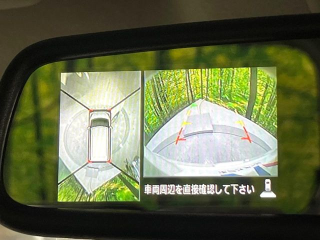 デイズルークスX