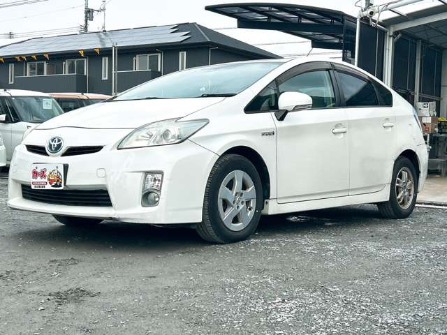 �y39.8���X�J�[�Y�̎��q���������������A���ɂ��肪�Ƃ��������܂��B���������S�s���c1186-7TEL:0942-73-6060�܂ł��⍇����������