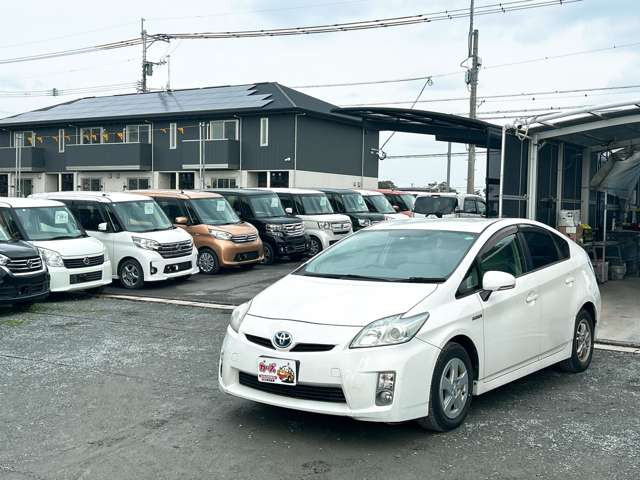 �y39.8���X�J�[�Y�̎��q���������������A���ɂ��肪�Ƃ��������܂��B���������S�s���c1186-7TEL:0942-73-6060�܂ł��⍇����������