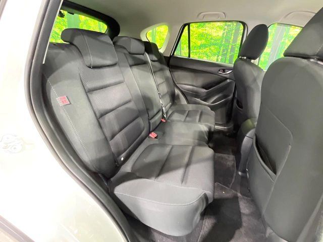 �㕔���Ȃ��C�ɂȂ�悤�ȃL�Y�E�����ւ��蓙�A�傫�ȃ_���[�W�͂Ȃ��A�ǍD�ȏ�Ԃł��B