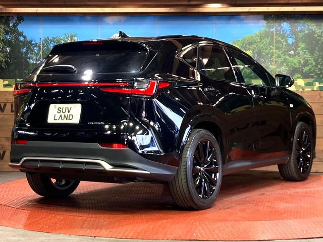 ���S���̃l�N�X�e�[�W���炨���񂹂��\��!�����̓X�܂ɓW�����Ă���N���}���C�ɂȂ�ꍇ���A�Ŋ��̓X�܂ł��������������Ƃ��\�ł�!���񎄂����ɗv�]������������������!���ʓr��p