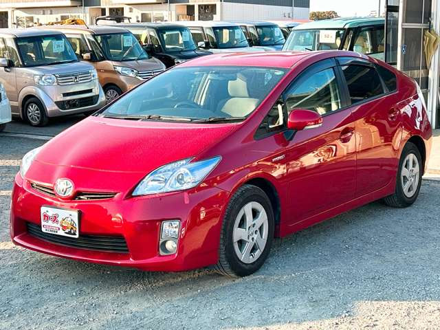 �y39.8���X�J�[�Y�̎��q���������������A���ɂ��肪�Ƃ��������܂��B���������S�s���c1186-7TEL:0942-73-6060�܂ł��⍇����������