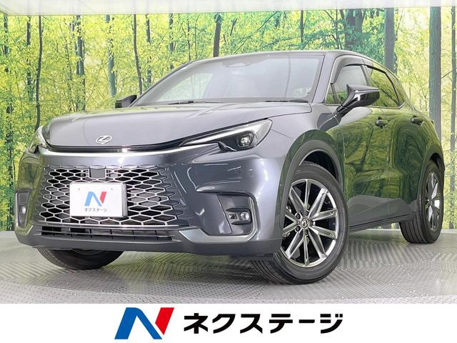 LBX(���N�T�X) �����b�N�X ���Îԉ摜