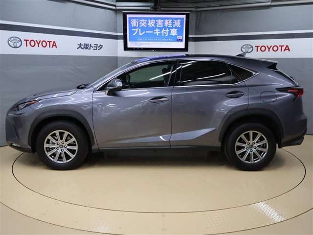 NX300 Iパッケージ