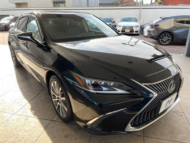 �������x�̃K���X�疌�ŝ����͂������A�㎿�ȃc���E����������B���O����_���J�����؂Ȉ��Ԃ�ی삵�A�F�����E�򉻂�h�~�B�u�e�X�v���b�V���R�[�g�v�A�u�e�v���~�b�T�R�[�g�v���炨�I�т��������܂��B