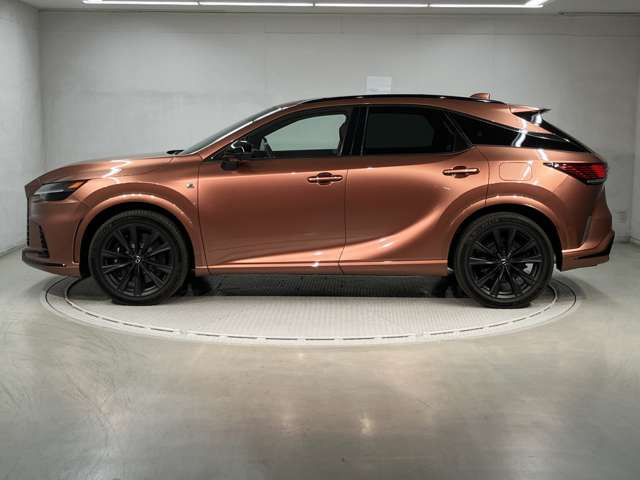 RX500h Fスポーツパフォーマンス 4WD