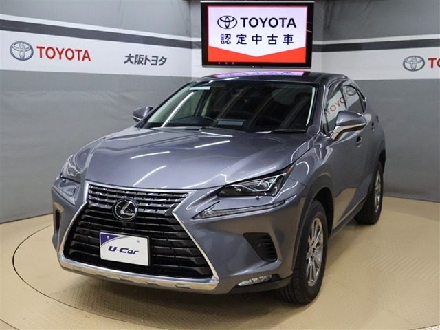 NX300 Iパッケージ