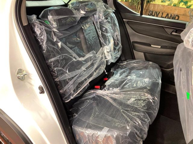 �㕔���Ȃ��C�ɂȂ�悤�ȃL�Y�E�����ւ��蓙�A�傫�ȃ_���[�W�͂Ȃ��A�ǍD�ȏ�Ԃł��B