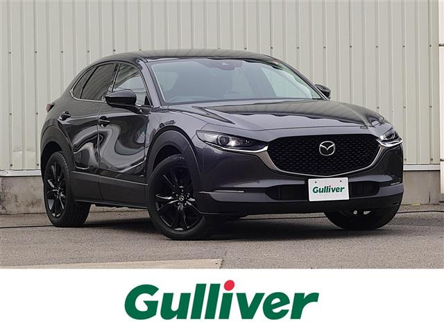 CX-302.0 20S ブラックトーンエディション