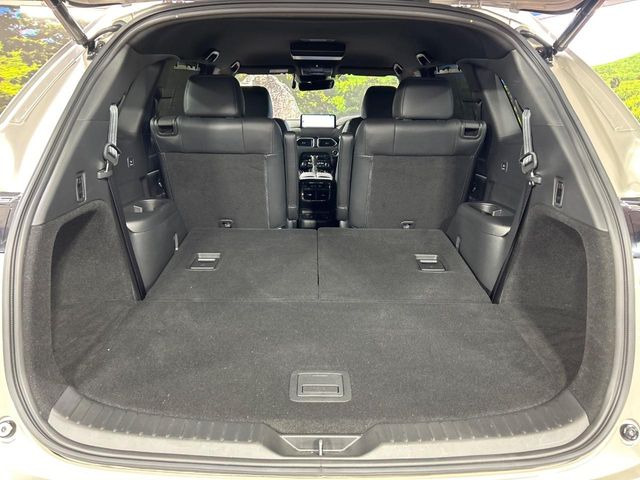 ���i�̂���������ʋ΁A���}���ɏ\���ȉ׎��X�y�[�X���m�ۂ��Ă���܂��B�Z�J���h�V�[�g��|���ƁA�傫�ȉו��̐ύڂ��\�ł���