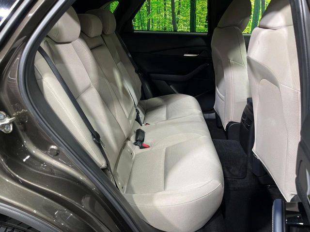 �㕔���Ȃ��C�ɂȂ�悤�ȃL�Y�E�����ւ��蓙�A�傫�ȃ_���[�W�͂Ȃ��A�ǍD�ȏ�Ԃł��B