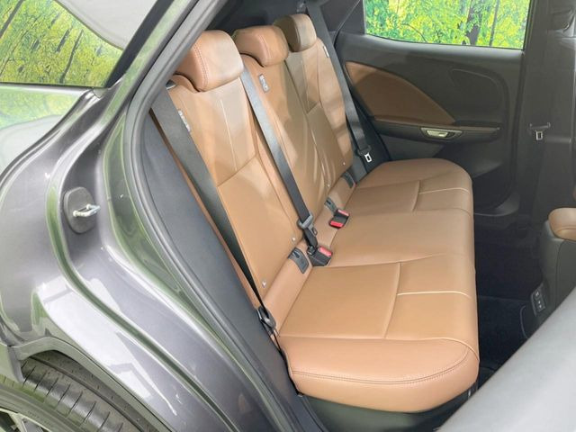 �㕔���Ȃ��C�ɂȂ�悤�ȃL�Y�E�����ւ��蓙�A�傫�ȃ_���[�W�͂Ȃ��A�ǍD�ȏ�Ԃł��B