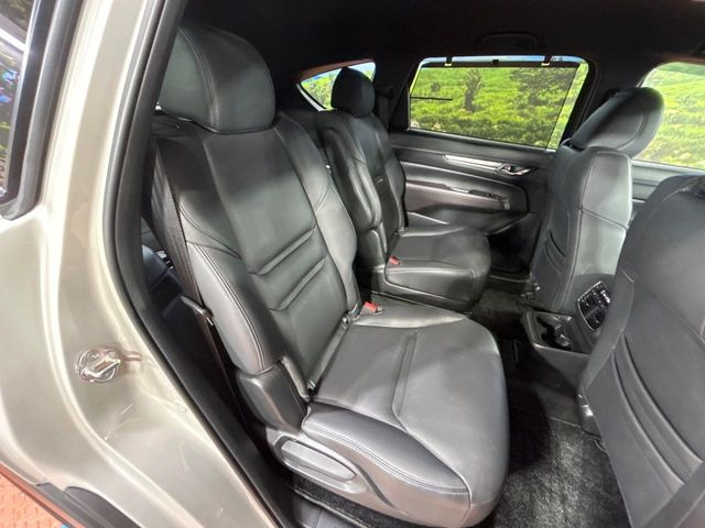 �㕔���Ȃ��C�ɂȂ�悤�ȃL�Y�E�����ւ��蓙�A�傫�ȃ_���[�W�͂Ȃ��A�ǍD�ȏ�Ԃł��B