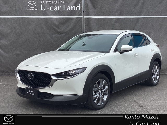 CX-302.0 20S プロアクティブ