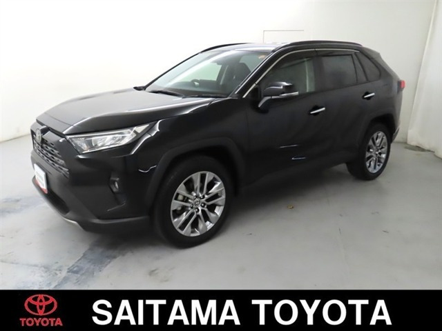 RAV4