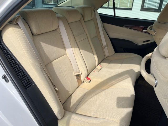 �㕔���Ȃ��C�ɂȂ�悤�ȃL�Y�E�����ւ��蓙�A�傫�ȃ_���[�W�͂Ȃ��A�ǍD�ȏ�Ԃł��B