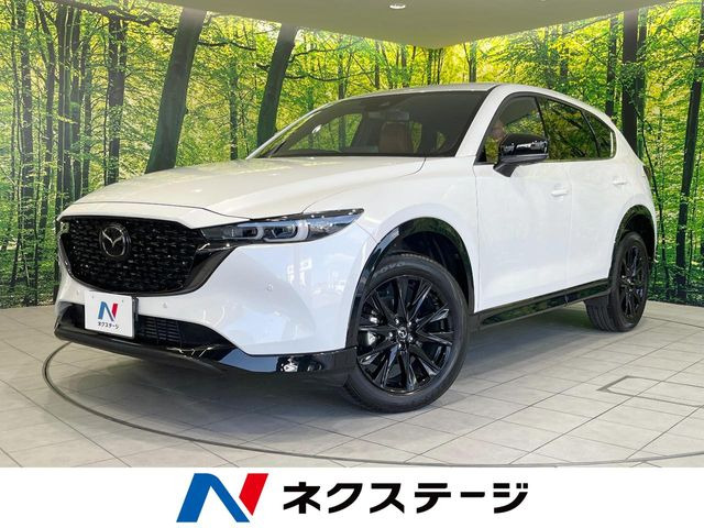 CX-5（マツダ）2.2 XD レトロスポーツエディション 中古車画像