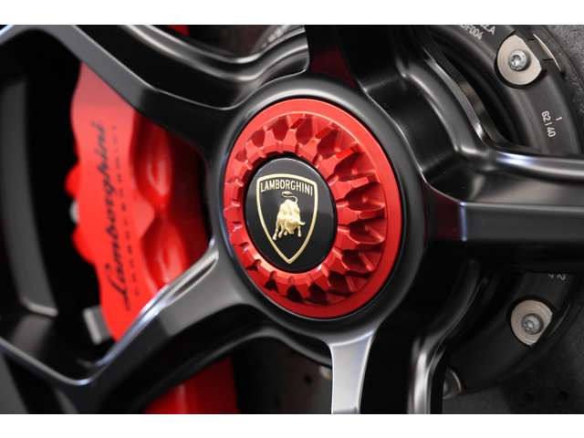 ���b�h�Z���^�[���b�N�{���g�A���b�h�L�����p�[���������l�̐F���œ��ꂳ�ꂽ�� ���1��ł��B