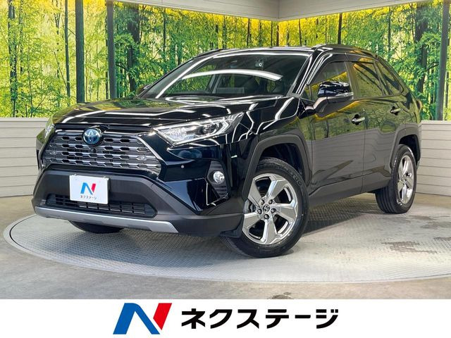 RAV4(トヨタ) 2.5 ハイブリッド G E-Four 4WD 中古車画像