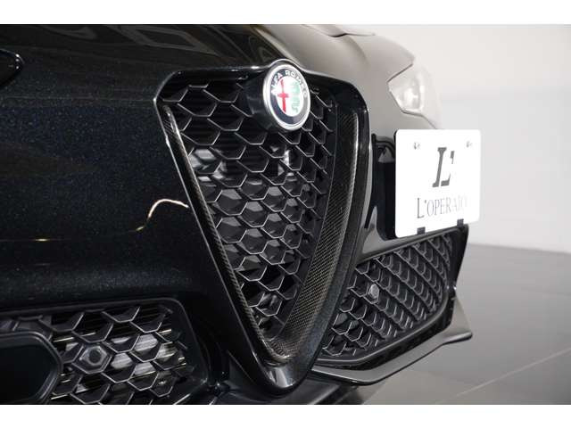 �J�[�{���p�[�c�����O�����ɑ��p����A���ʂȃW�����A�ł��邱�Ƃ��ؖ����Ă���Ă���܂��B