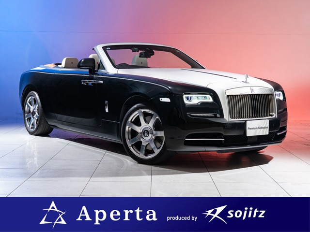 �h�[��(���[���X�E���C�X) 6.6�@�ۏؕt �h���C�o�[�A�V�X�^���XPKG ���Îԉ摜