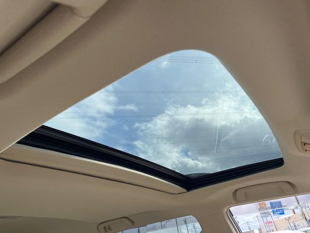 �y�T�����[�t�z�J���������Ղ�̊󏭑����A�T�����[�t����������Ă��܂�!�ԓ��ɖ�����������ꂽ��i�F���y���ވȊO�ɂ��A�ԓ��̋�C���ȒP�Ɋ��C�ł��ĉ��K�ł�!