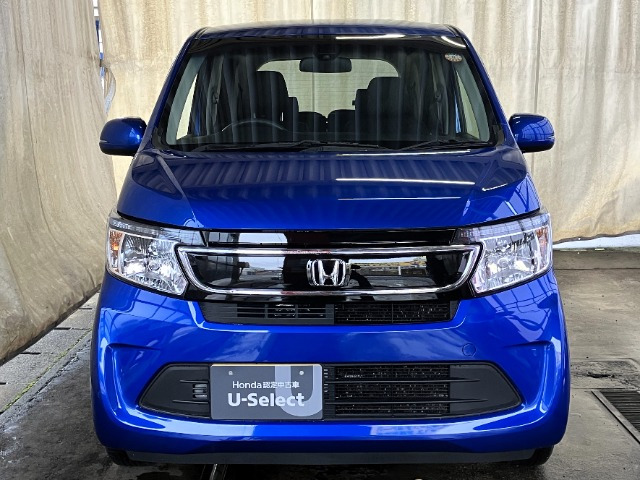 N-WGNG スタイリッシュパッケージ