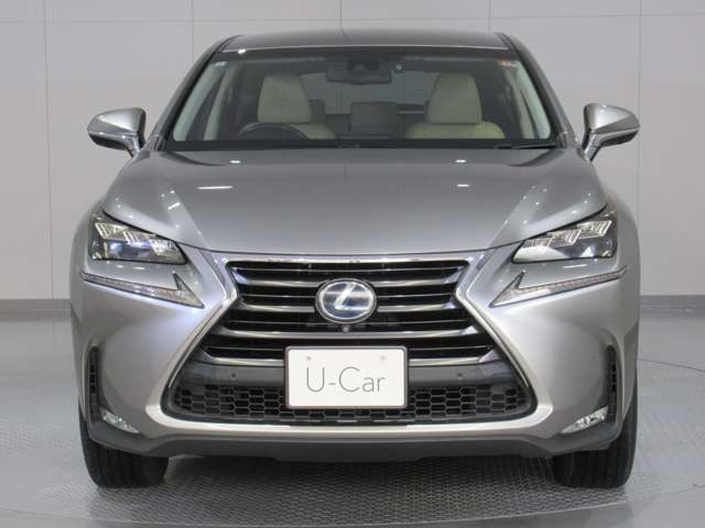 NX300h バージョンL