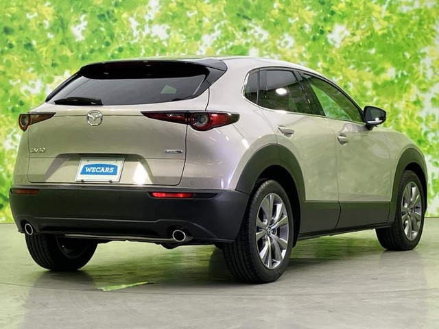 CX-302.0 20S プロアクティブ ツーリングセレクション